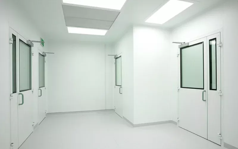 Flush Cleanroom Window