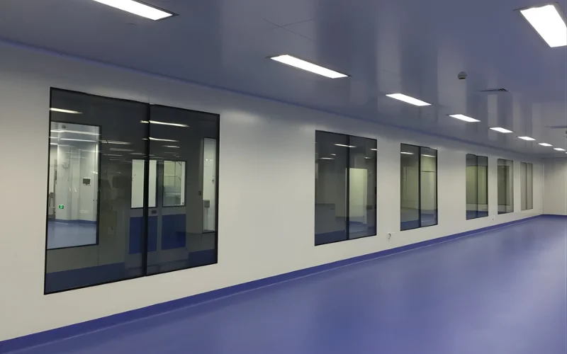 Flush Cleanroom Window